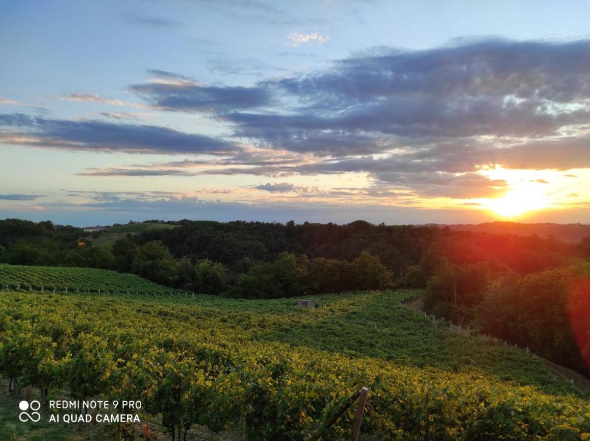 Oasi Del Monferrato - Appartamento Rosso Mombercelli Bagian luar foto
