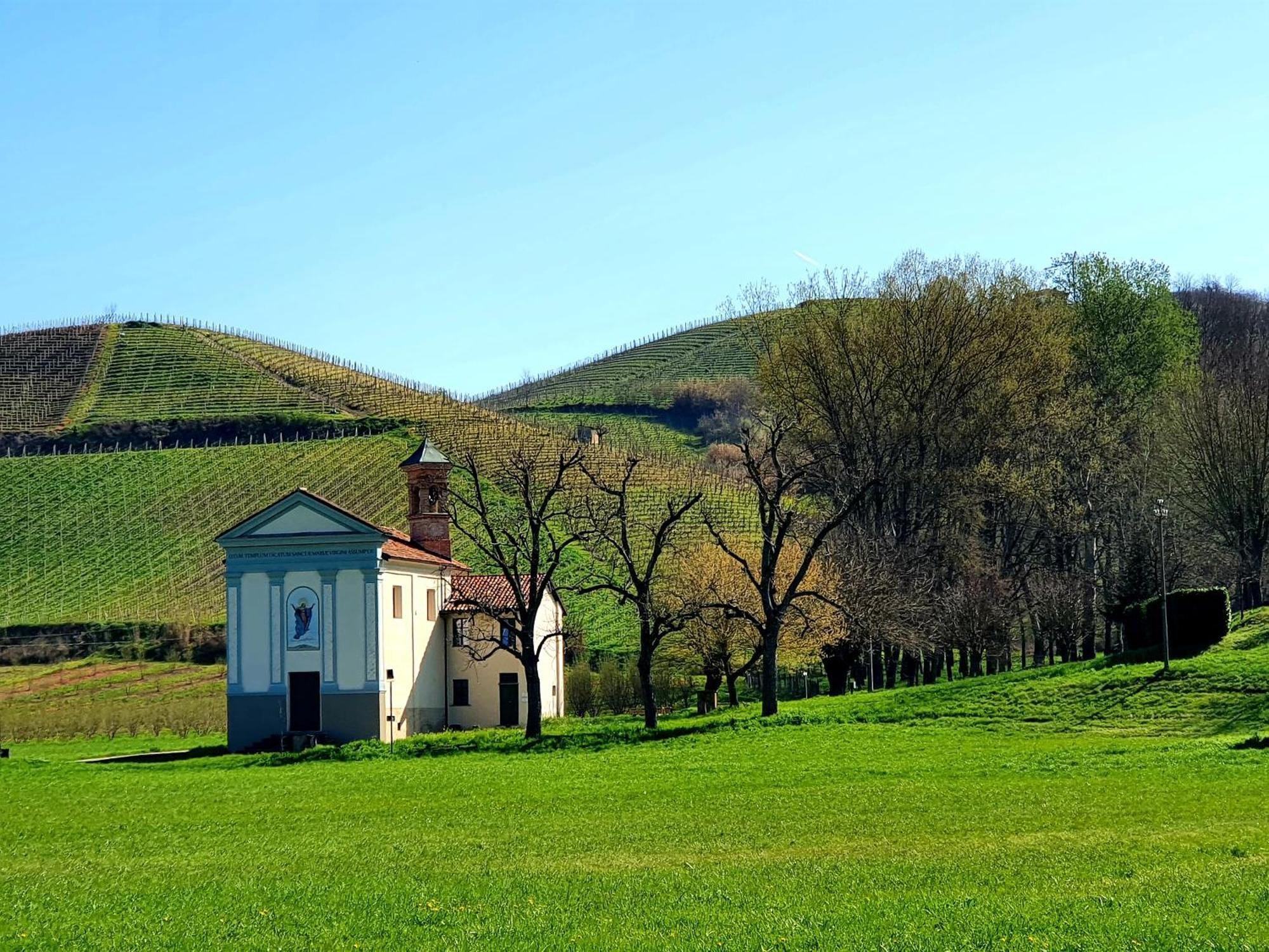 Oasi Del Monferrato - Appartamento Rosso Mombercelli Bagian luar foto